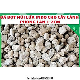 Đá Bọt Indo giá thể trồng Lan, sen đá, cây cảnh, thủy sinh 1kg