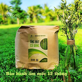 Mua Túi 1000 ống hút cỏ bàng Ecozone size 20cm cao cấp tiết kiệm cho quán cafe- Grass Straws - Hàng xuất khẩu