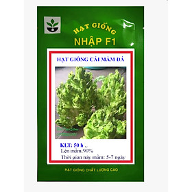 Mua 100 hạt giống cải mầm đá