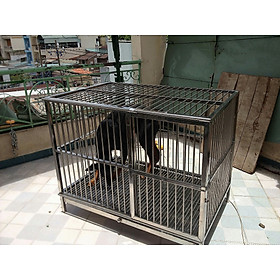 Chuồng chó Inox Juno Sofa KT (70 x 1,2m x 80cm) Không có mái che 