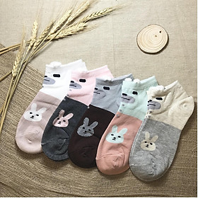 Combo 5 đôi vớ nữ xinh 0009