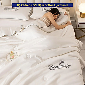 Bộ Chăn Ga Gối Đệm 5 Món Phi Cotton Lụa Tencel Dream City Cao Cấp Chuẩn