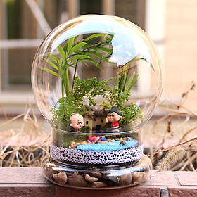 Bell Jar Display Case DIY Glass Cloche for Decorative Fill fairy Lights