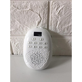 Mua Đài nghe pháp mp3 (đài chiếc lá )( đài niệm Phật ) mật định 31 bài niệm phật- Đồ thờ Tịnh Phương
