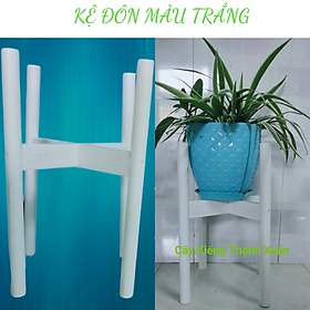 Mua Kệ Đôn Gỗ Để Chậu Cây-Giá Đỡ Chậu Hoa Kích Thước Lọt Lòng 26cm  Màu trắng
