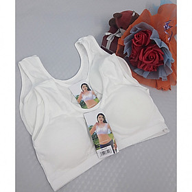 Combo 05 Áo lá học sinh màu trắng 