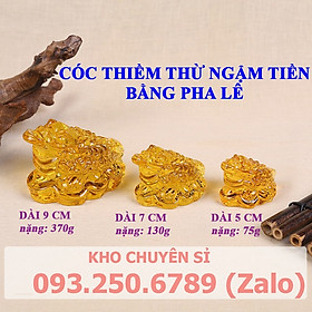 Mua Thiềm từ (con cóc) pha lê phong thủy may mắn & tài lộc   Nhiều kích thước 5cm 7cm 9cm