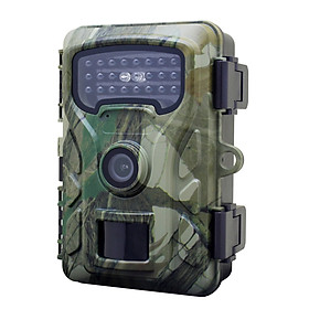 Máy bẫy ảnh Terino RT48-4K (48 MP, Video 4K, Xem hình ảnh trên LCD, IP66) - Hàng chính hãng