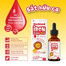 Siro IRON DROPS KIDS bổ sung Sắt hữu cơ, Acid folic, Vitamin B12 cho trẻ 1 lọ x 30ml