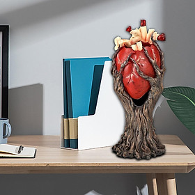 Human Heart Model, Heart Medical Model, Education Supplies, Professional Teaching Structures Resin Crafts Decor