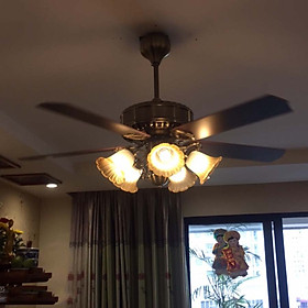 Mua Quạt trần 5 cánh gỗ fip 1345AB