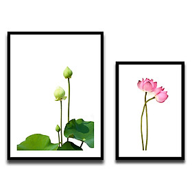 Mua Combo 2 Khung Hình Kính Treo Tường 3D Cao Cấp size A3 Và A4 Tặng bộ ảnh hoa sen như mẫu - Khung Hình Phạm Gia PGCTK68