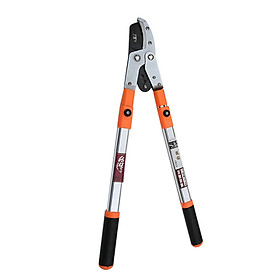 Mua Kéo Cộng Lực Cắt Tỉa Cành Cây  Kìm Cắt Tỉa Cây Cành Trên Cao Có Thể Điều Chỉnh Độ Dài Của Cán  Dụng Cụ Cắt Tỉa  Bấm Cành Cây Cành Tiện Lợi