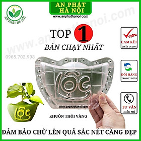 Khuôn Bưởi thỏi vàng số 1 - Khuôn tạo hình trái cây loại đẹp, dày, bền, in chữ nổi TÀI LỘC