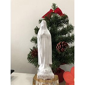 Mua 219. Đức Mẹ Tà pao 14cm