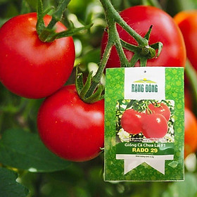 Mua Hạt Giống Cà Chua F1 Rado 29 Gói 0 5g Rạng Đông Siêu trái Dạng trái tròn đẹp  chất lượng ăn ngon - chịu nhiệt tốt.