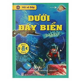 Hỏi Và Đáp Dưới Đáy Biển
