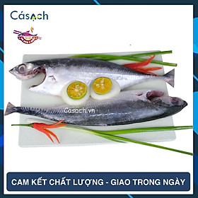 Cá sòng làm sạch - CKFoods - 300 g