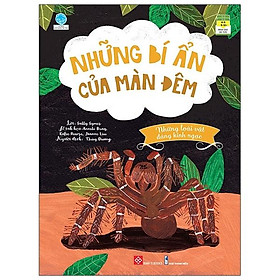 Những Bí Ẩn Của Màn Đêm - Những Loài Vật Đáng Kinh Ngạc