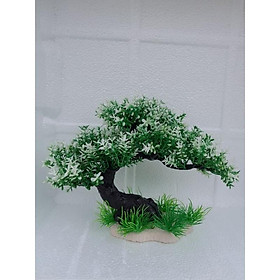Bonsai bể cá - bonsai hòn non bộ - Bonsai hoa trắng,KT:N30cm×R14cm×C23cm