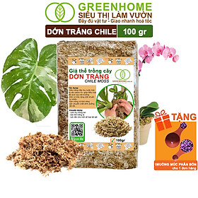 Dớn Trắng Chile Greenhome, Newzita, Gói 100gr, Đã Qua Xử Lý, Giá Thể, Giữ Ẩm Tốt, Kháng Khuẩn Tự Nhiên, Trồng Lan, Kiểng