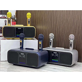 Mua Loa Karaoke SDRD SD-318 kèm 2 mic không dây