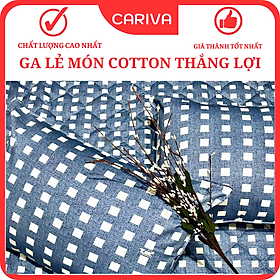 Ga Lẻ Không Vỏ Gối 100% Cotton TL