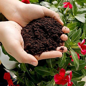Mua 1Kg Đất sạch vi sinh siêu dinh dưỡng diệt trùng kháng khuẩn cực tốt chuyên dùng trồng Rau củ quả sạch - Cây cảnh - Hoa