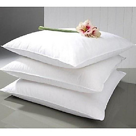 Mua Ruột gối ép hơi /  50x70 -Có bán lẻ 1 cái