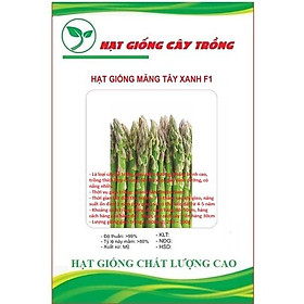 Mua Hạt giống măng tây xanh F1 CT93 - Gói 20 hạt