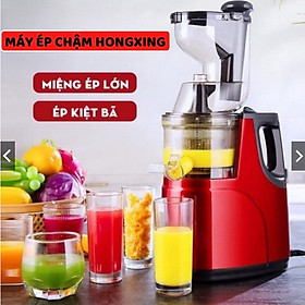 Máy ép chậm hoa quả CAMEL/Hongxing RH-312/Nineshield KB-F8B, ép rau củ hoa quả, máy ép chậm trái cây - Hàng nhập khẩu