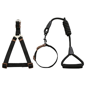 Fantasy bubble dog chain dog leash dog leash dog chain dog leash dog collar Teddy poodle small medium and large dog dog supplies collar chest strap set black L
