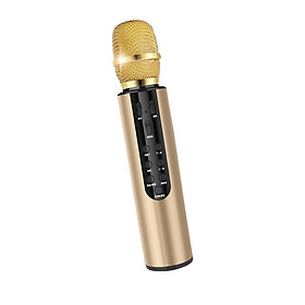 Mua Micro không dây bluetooth kèm loa hát karaoke có khay cắm thẻ nhớ âm thanh vượt trội PKCB PF1019 - Hàng chính hãng