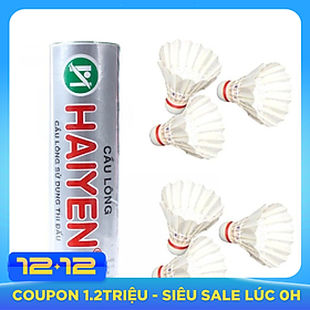 Ống cầu lông HY Sportslink (6 quả)