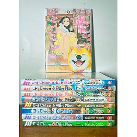 Sách - Chị Chion ở đển mèo
