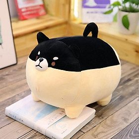 Gấu bông chó Shiba mập ú dễ thương, gấu bông cute