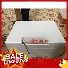 Mua Máy ấp trứng lắp hoàn thiện 108 trứng