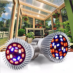 2xE27 LED Grow Light Bulb Full  Lamp for Flower Growing Green House