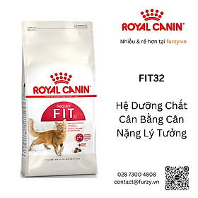 Royal Canin Thức Ăn Hạt Cho Mèo Trưởng Thành Fit32