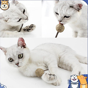  Đồ chơi kẹo mút que catnip cho mèo - Cỏ bạc hà liếm là mê