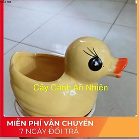 Chậu Trồng Cây Hình Vịt Vàng Kèm Dĩa Lót