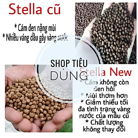 ( 1kg ) cám Stela 40% Đạm Nổi Cho Cá Koi, Cá Lóc cá diêu hồng cá rô phi cá chép mè cá trê 1kg Cám STELA