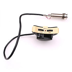Hệ Thống Pickup Cho Đàn Ukulele