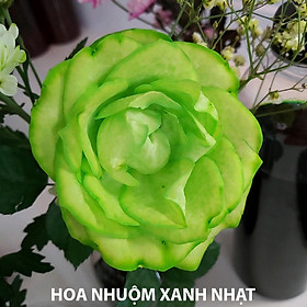 Màu Nhuộm Hoa tươi Đồi màu (Hoa Hồng, Cẩm Tú Cầu ...) theo Công nghệ Israel chai nhỏ 100ml nhuộm đổi màu hoa tươi trên 20 cành