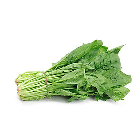 CẢI BÓ XÔI