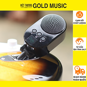 Mua Loa guitar mini jack 6ly Gold GL05 cho nhạc cụ ( công suất 5w   pin sạc   di động   bluetooth ) chỉ 90 gram