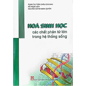 Hóa sinh học các chất phân tử lớn trong hệ thống sống