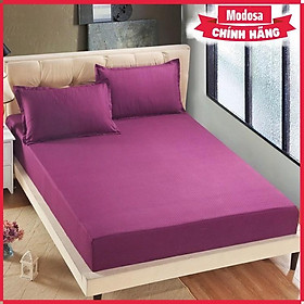 Mua Ga Chống Thấm Modosa  Bọc Nệm Chống Thấm  Chan Ga Goi Nem  Ga Trải Giường Cao Cấp Chống Nước 100% - Nệm Sạch Sẽ  Giường Thơm Tho - Hàng Chính Hãng