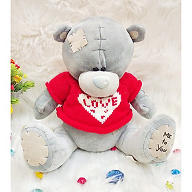 Gấu Bông ME TO YOU ÁO LEN LOVE