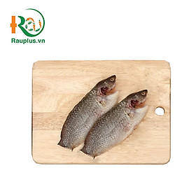 CÁ RÔ LÀM SẲN ĐẠT CHUẨN VIETGAP_350Gram